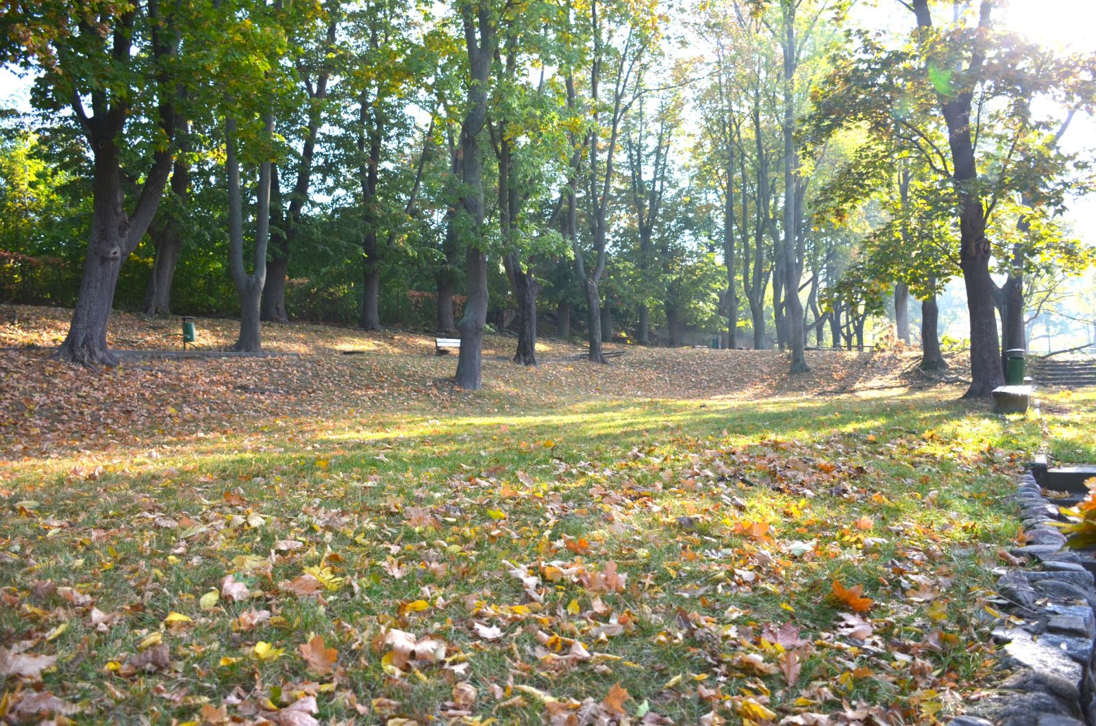 Zdjęcie: Park Jesienią