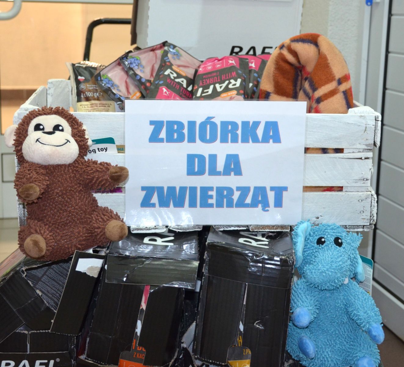 Zdjęcie: Uratuj psisko! Wesprzyj schronisko.